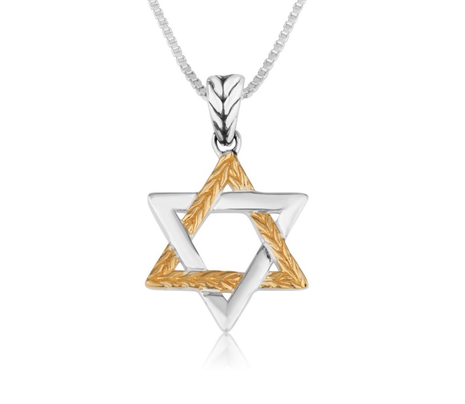 Two Tone Sterling Silver and Gold Filled Star of David Pendant Necklace