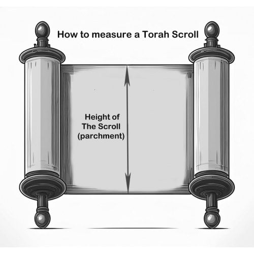 Velvet Torah Mantle Cover for Torah Scroll - Temple Menorah