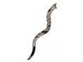 Yemenite Decorated Shofar - Pearl Yemenite style